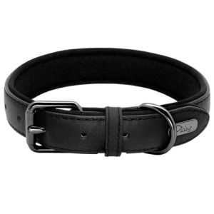 Gepolstertes Lederhalsband